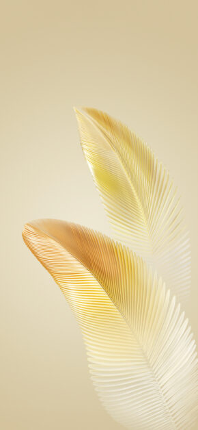 Honor Magic 6 (Pro) Stock Wallpaper #11