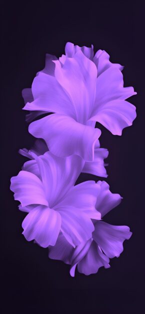 Gladiolus Purple OLED