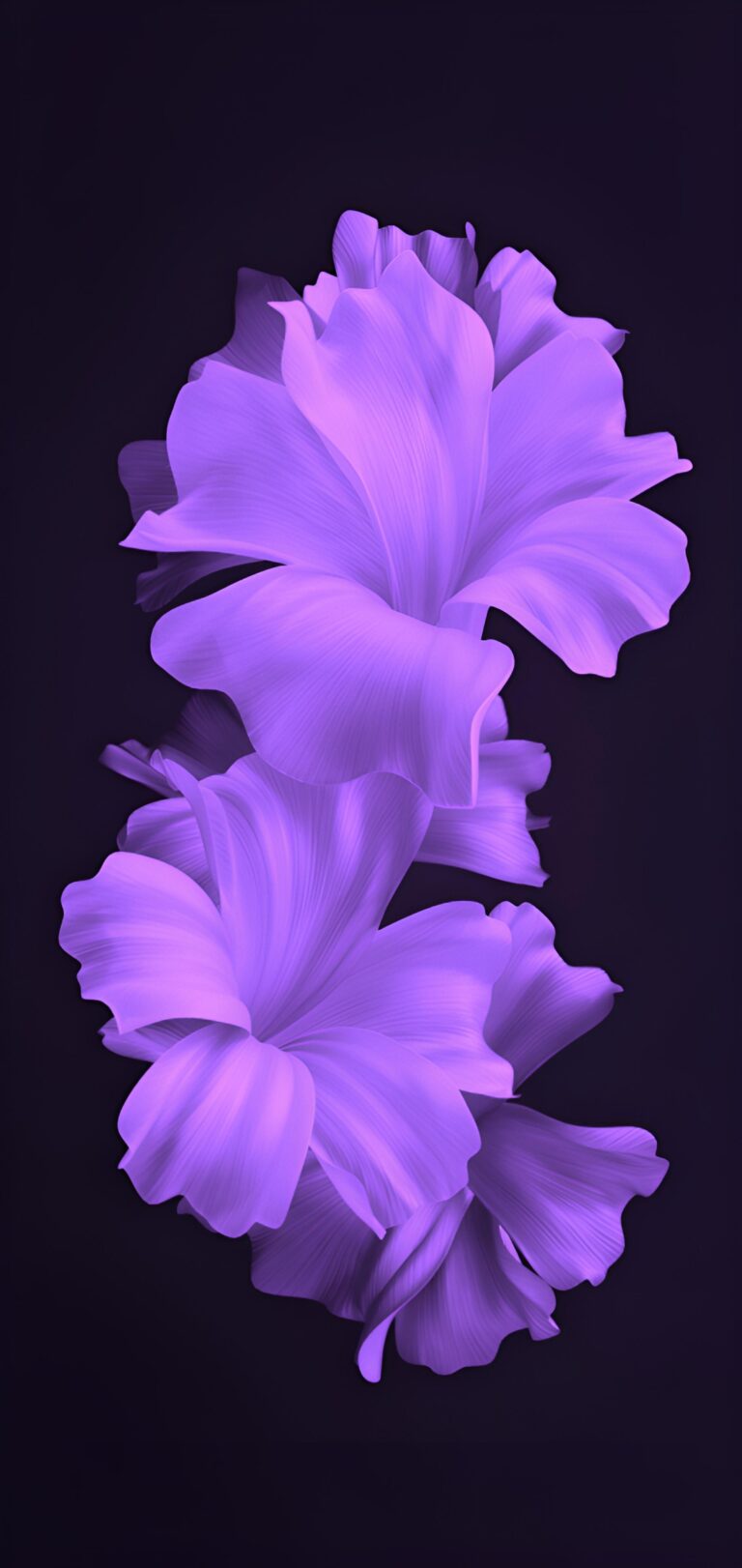 Default wallpaper of Gladiolus Purple OLED