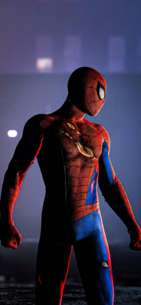 Spider Man