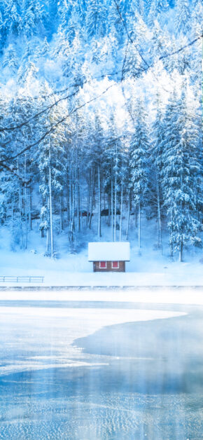 Winter scene