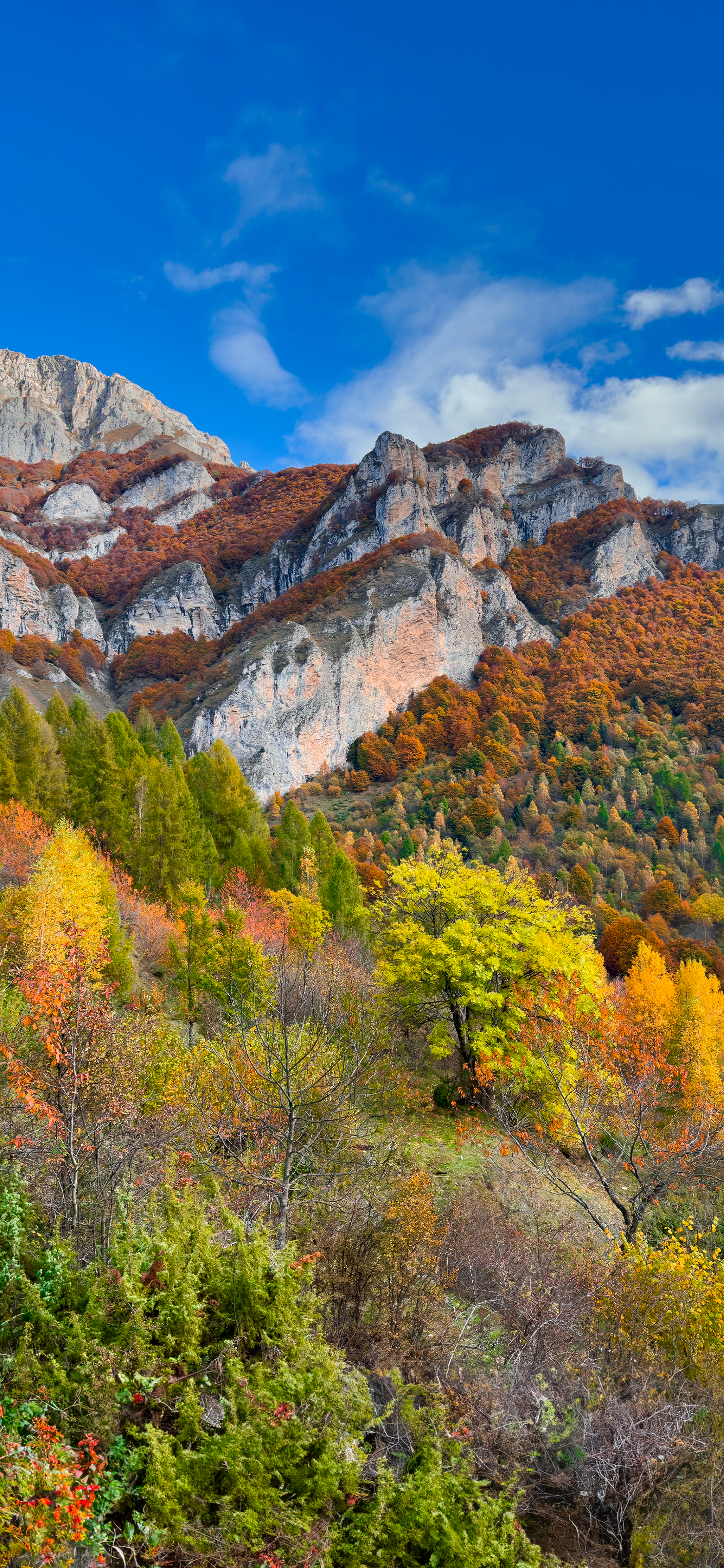 Autumn In The Mountains | Depth Effect - Wallpapers Central, image size:1412x3056