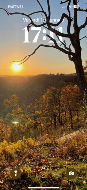 Sunset Tree | Depth Effect