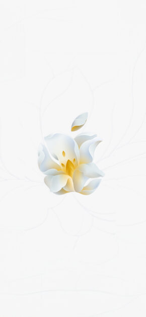 Apple Jingan Flower II