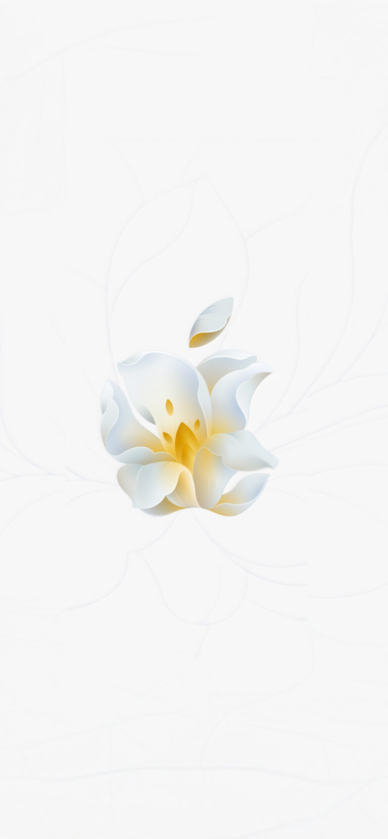 Default wallpaper of Apple Jingan Flower II