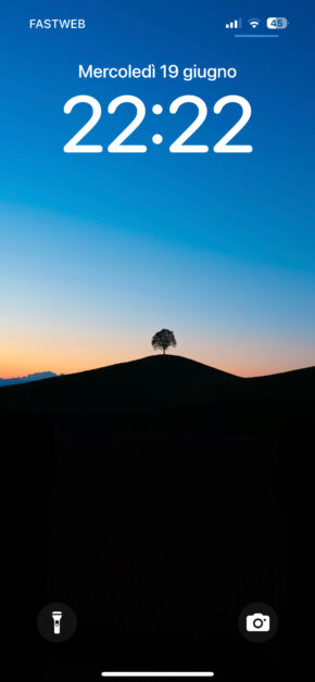 The Tree of Silence