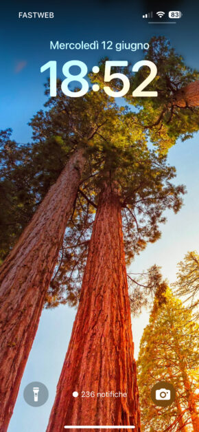 Real Sequoia Wallpaper