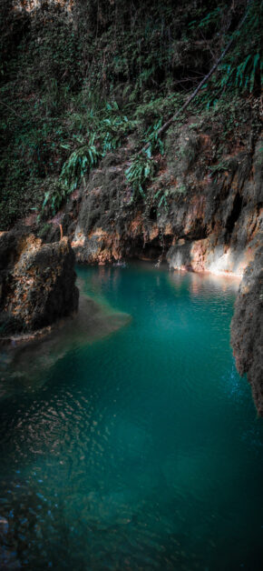 Uncontaminated Nature 6K