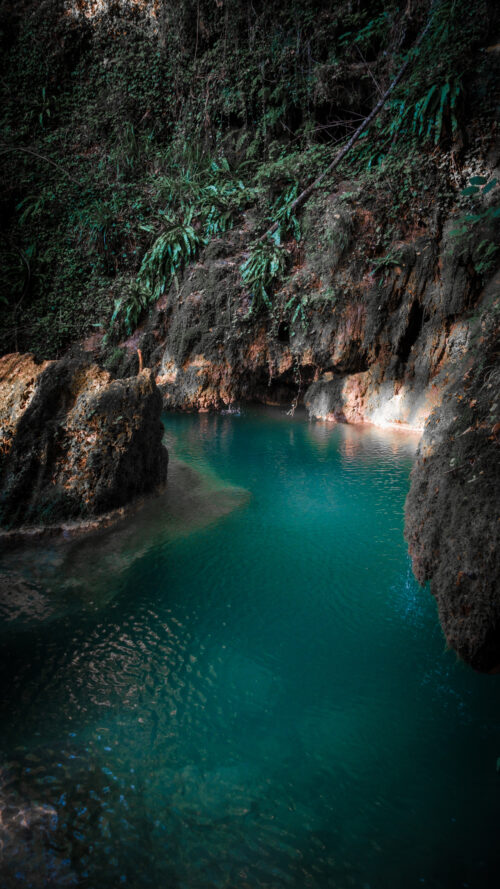 Uncontaminated Nature 6K