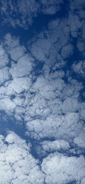 Sky California