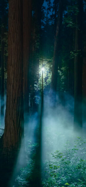 Official macOS Sequoia 15.0 Wallpaper 4K (Night)