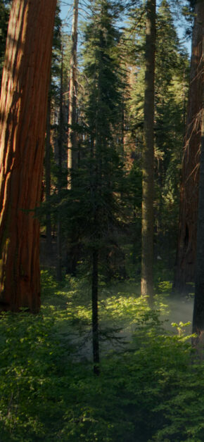 Official macOS Sequoia 15.0 Wallpaper 4K (Day)