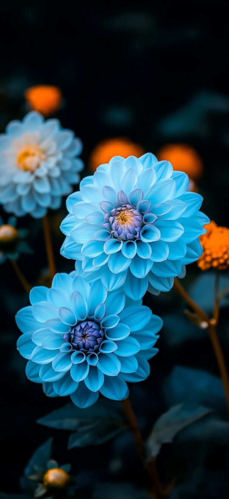 Default wallpaper of High Definition Flowers