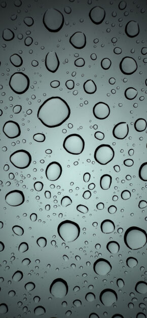 Water Drops