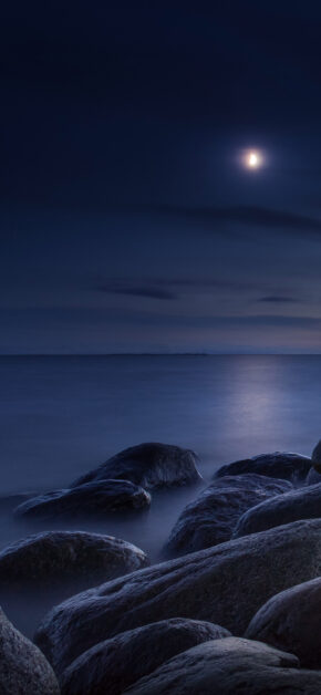 Mare