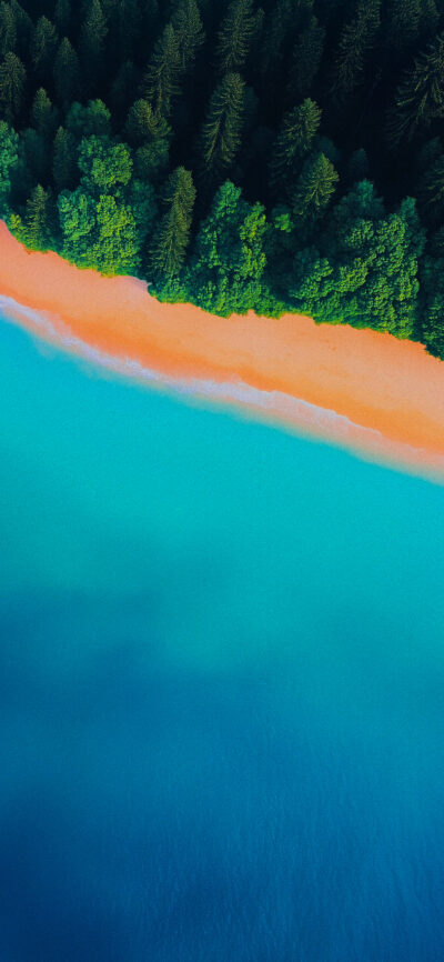 Wallpaper Tropical Edge