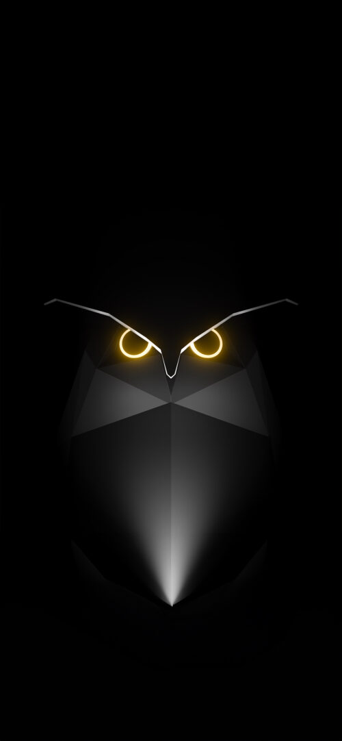 Tesla CyberOwl | Halloween