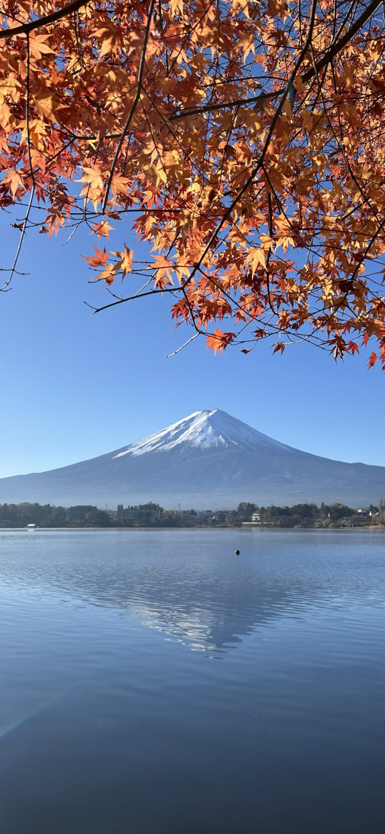 Default wallpaper of Kawaguchi Lake, Japan | Around the World