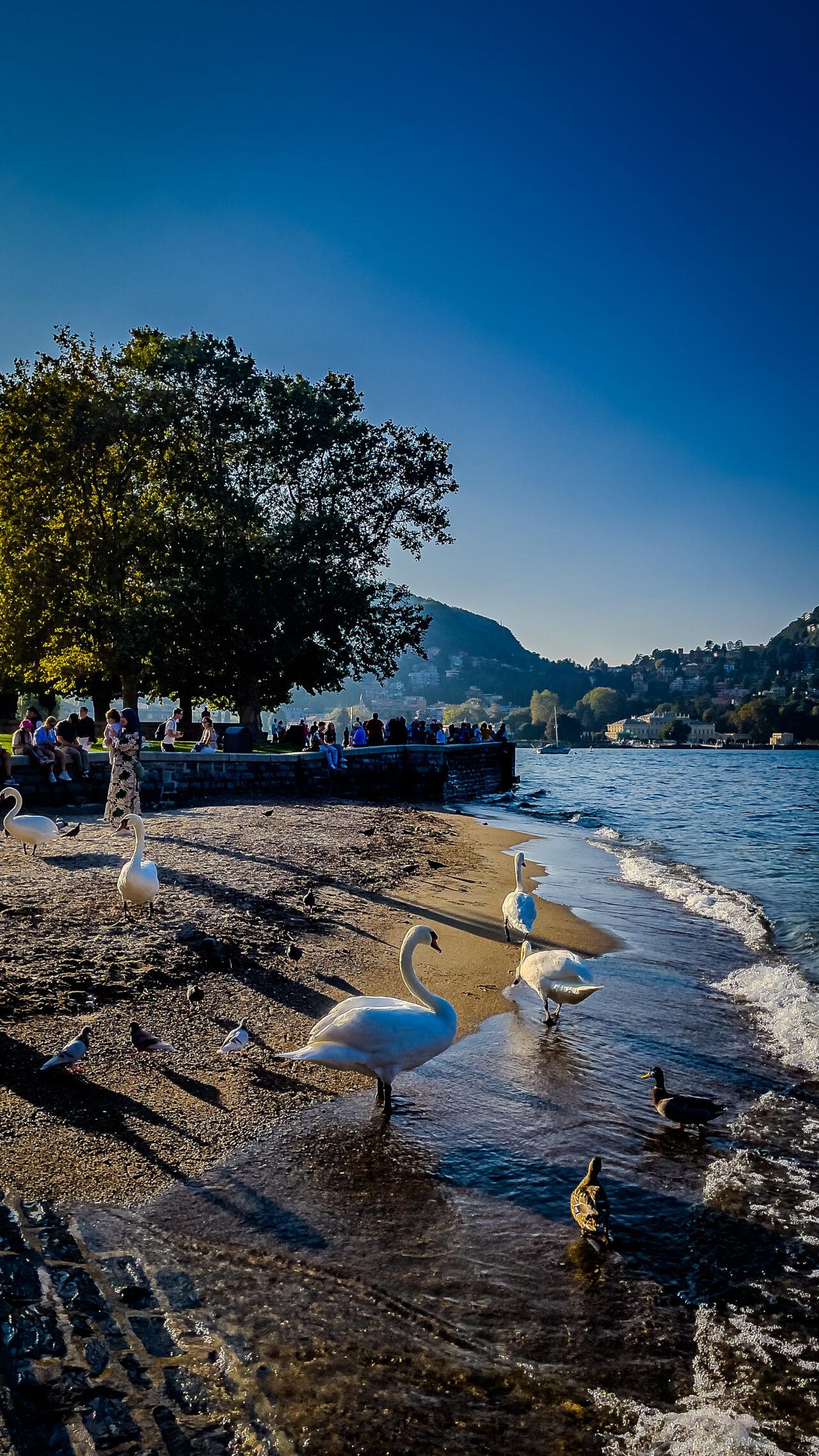 Lago di Como, Italy | Around the World