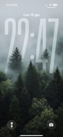 Misty Pines | Depth Effect