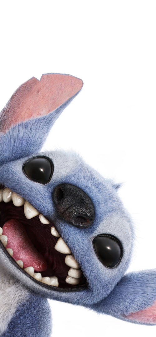 It's Stitch!