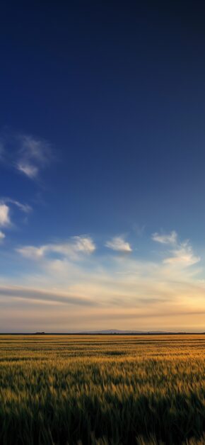 Golden Silence