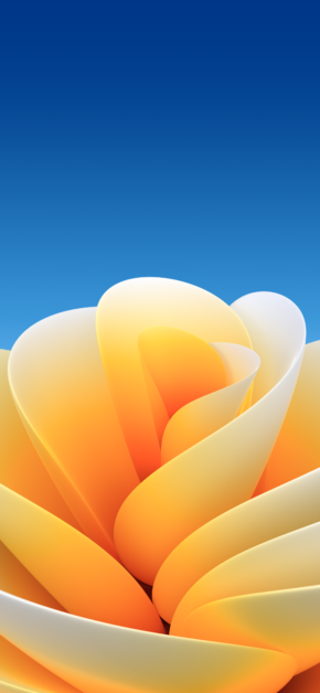 Sierra Flower | Light