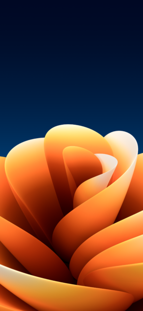 Sierra Flower | Dark