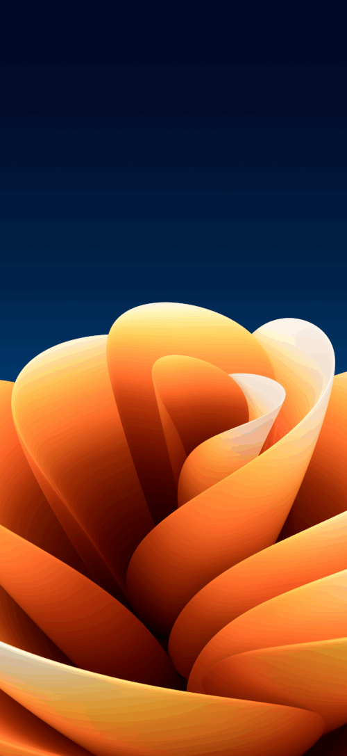 Sierra Flower | Dark