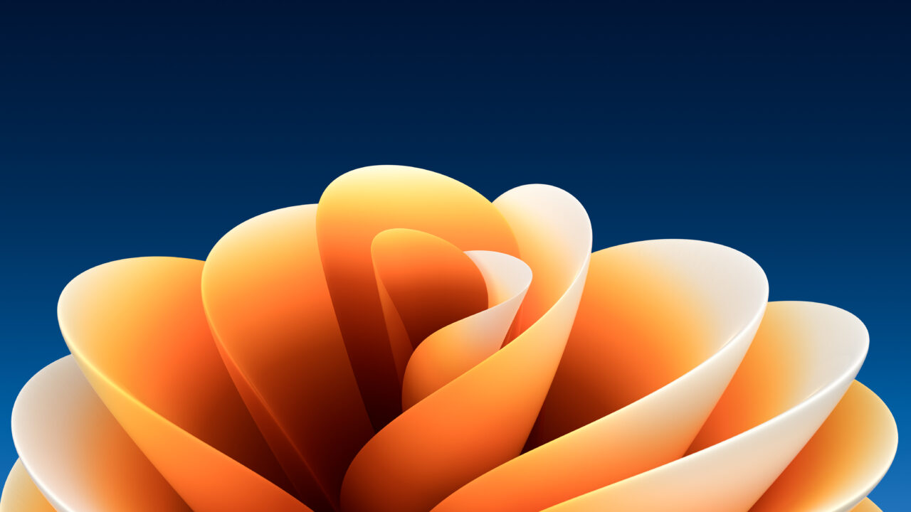 Sierra Flower | Dark