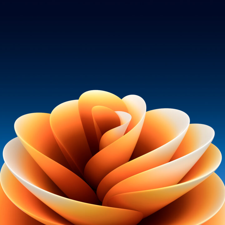 Sierra Flower | Dark