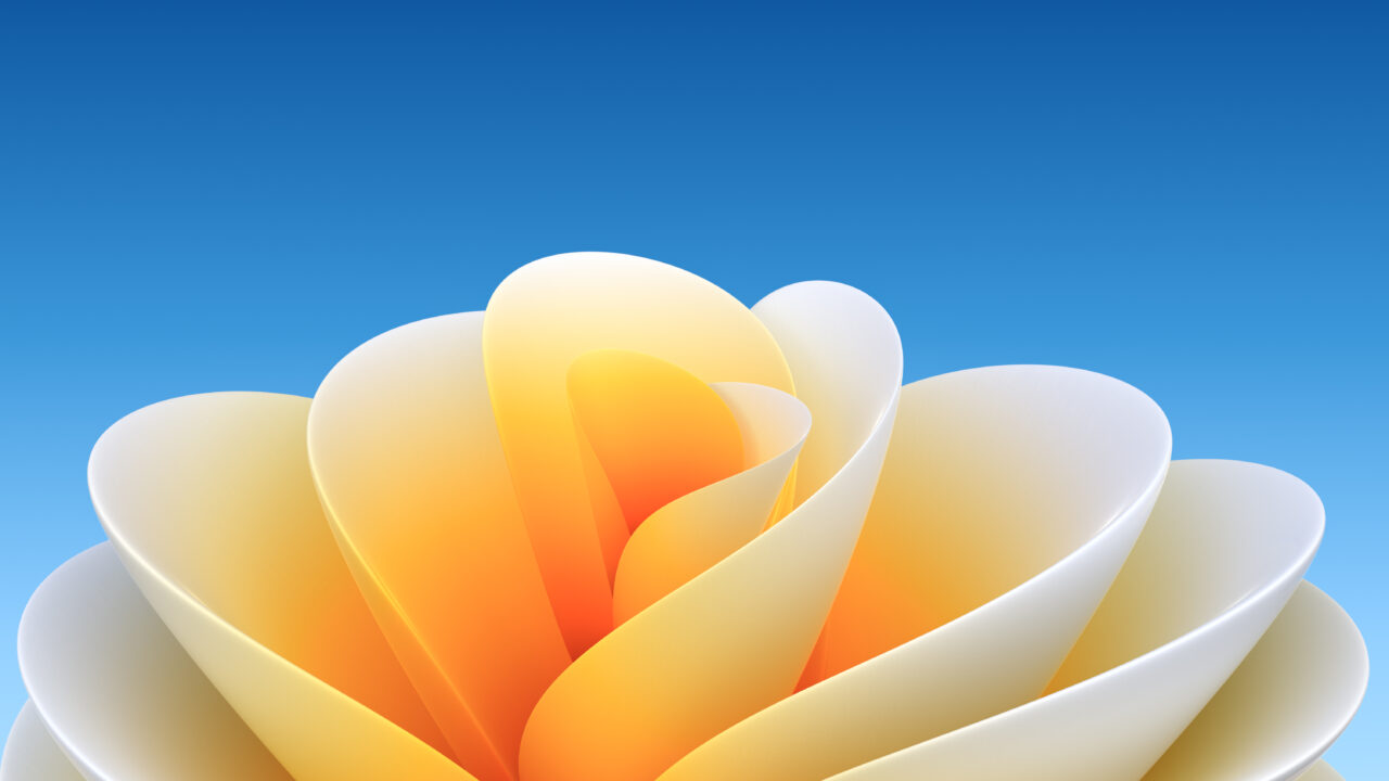Sierra Flower | Light