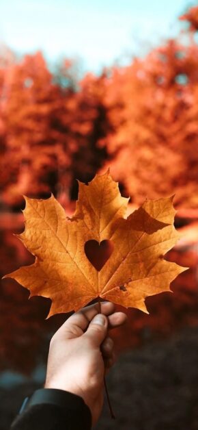 Autumn