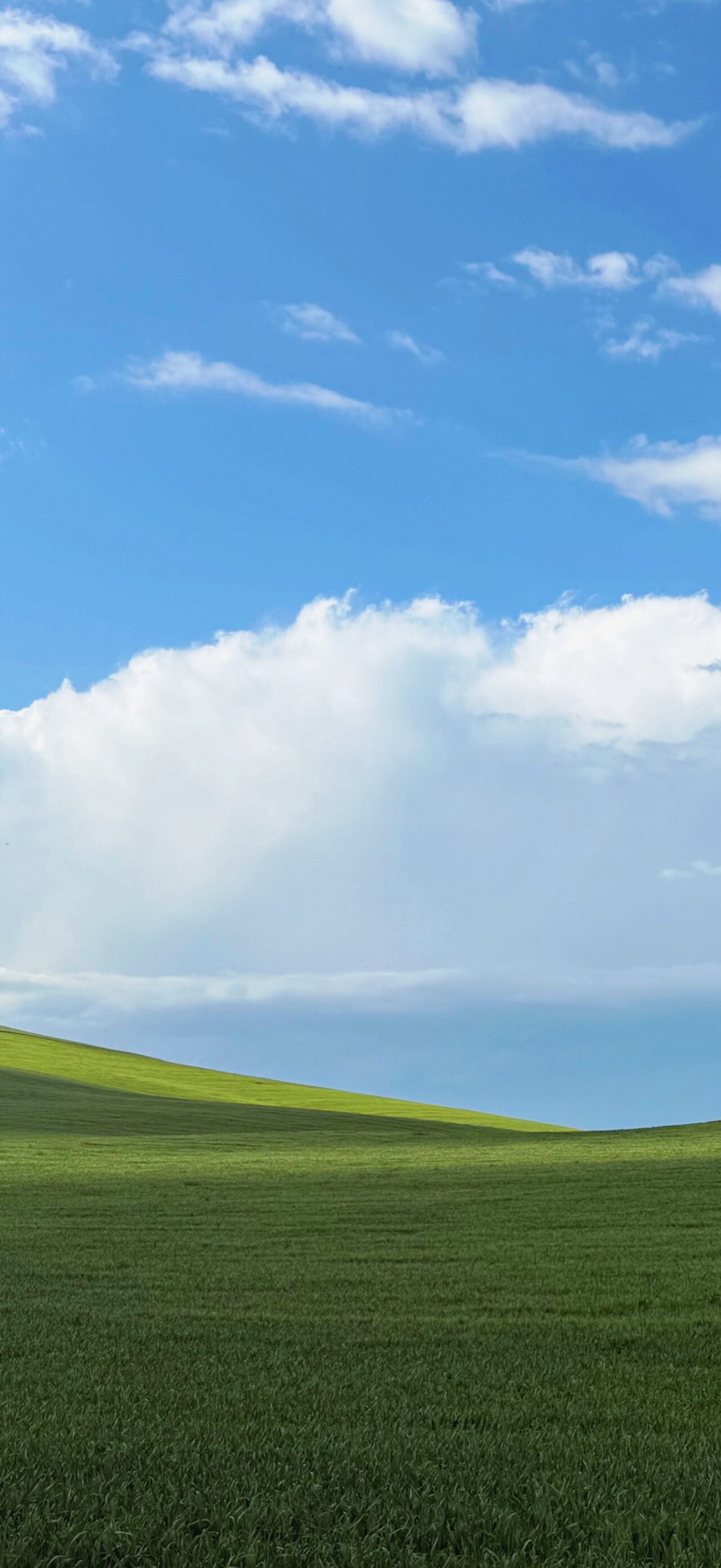 Windows XP in Basilicata, Italy | Around the World
