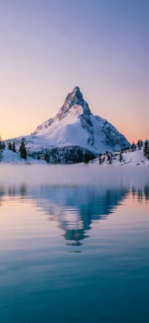 Frost Land