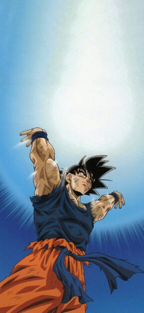 Goku Energy