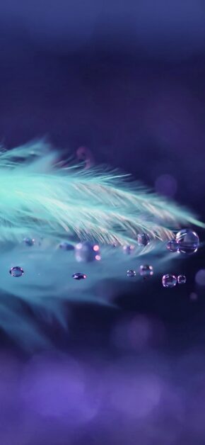 Plume and Liquid Drops