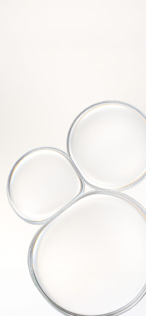 Glass 26’ Bubbles