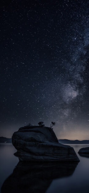 Midnight Shore
