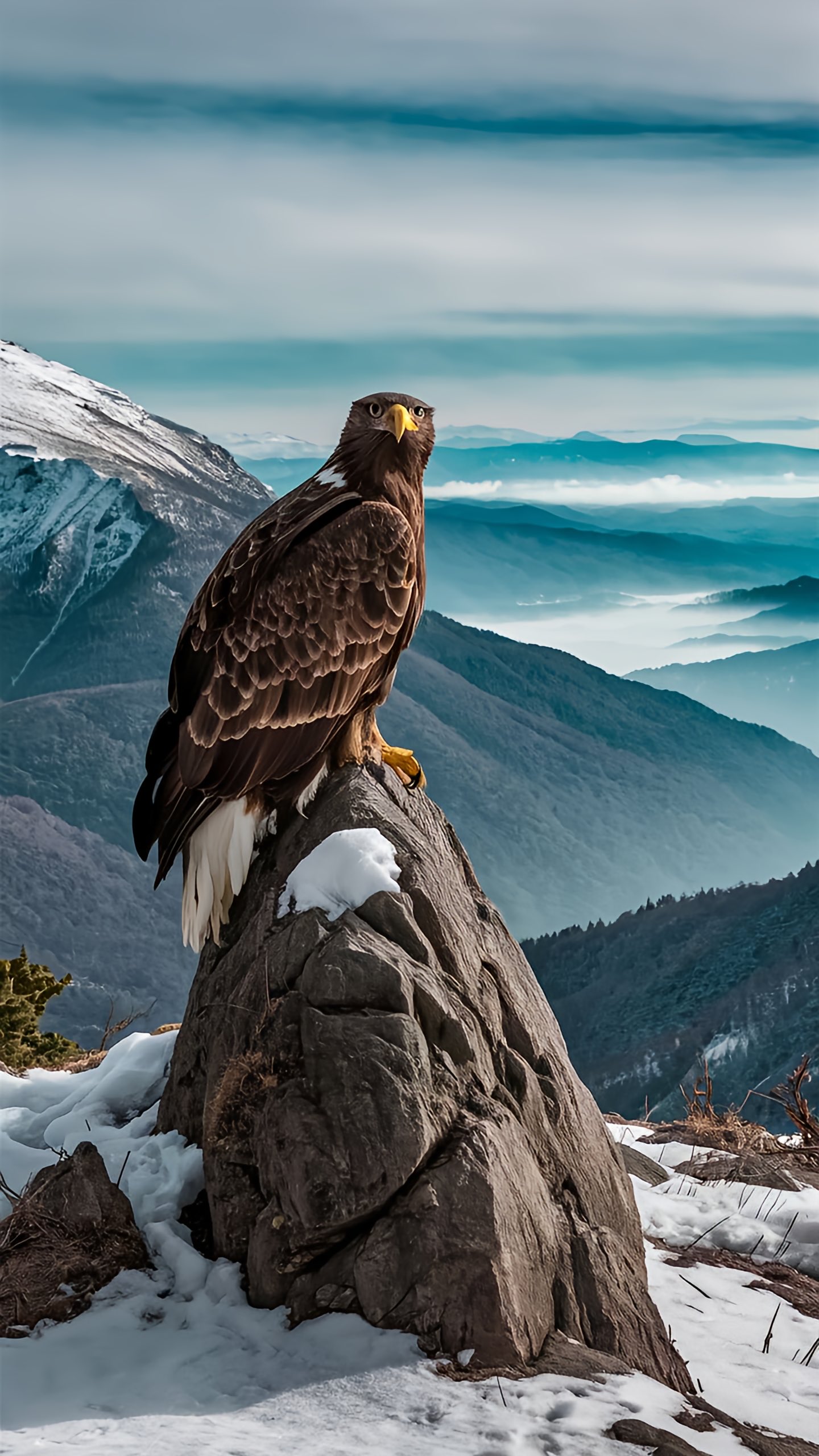 The Sentinel | Depth Effect + Spatial Scene 3D - Wallpapers Central