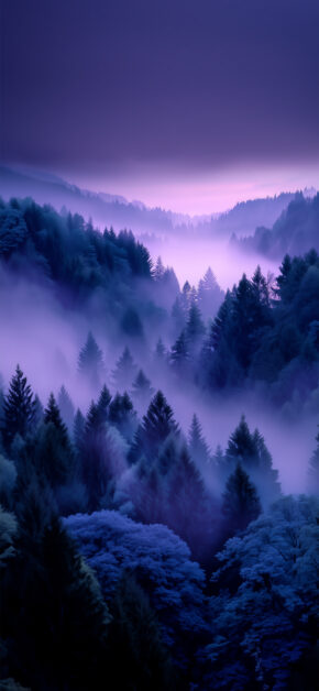 Purple Forest
