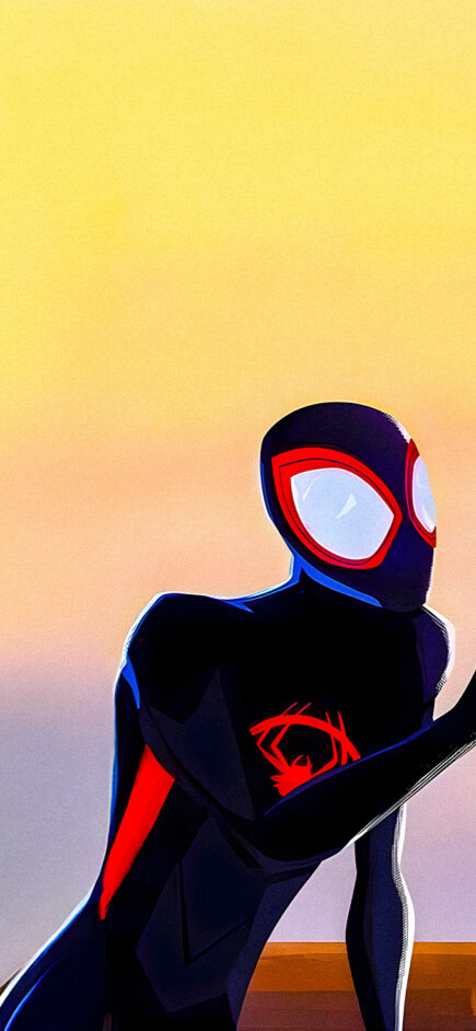 Spider-Man & Spider-Gwen: Across the Spider-Verse — Spider-Man