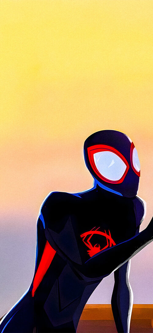 Spider-man: Across the Spider-verse