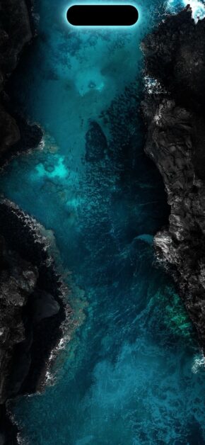 Sea | Fit the Dynamic Island