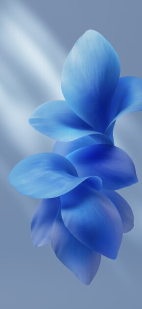 OriginOS 6 Stock Wallpaper 3