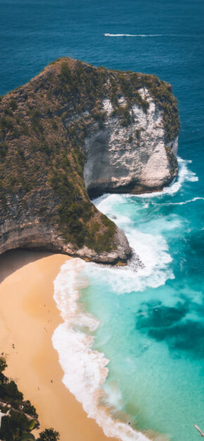 T-Rex Bay