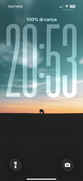 Horse Sunset