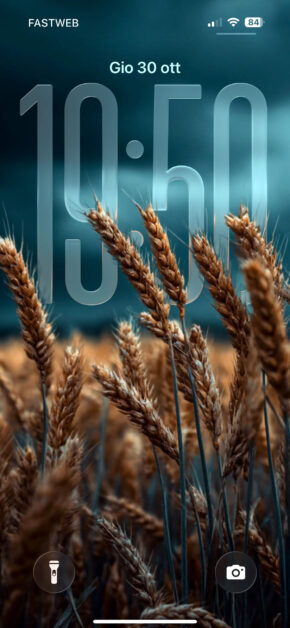 Wheatfield Skies