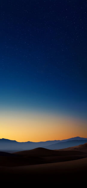 Desert Night