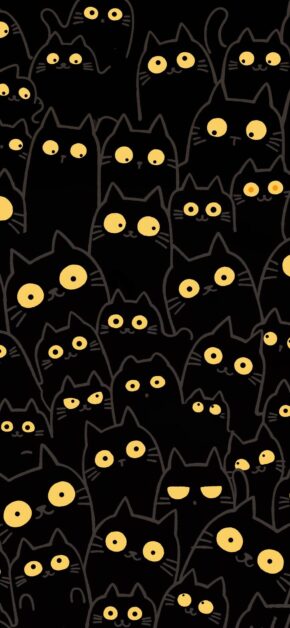 Black Cats